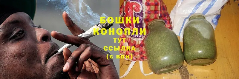 Бошки Шишки конопля  Балахна 